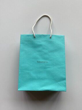 Tiffany & Co. Gift Bag  Shopping Bag Authentic